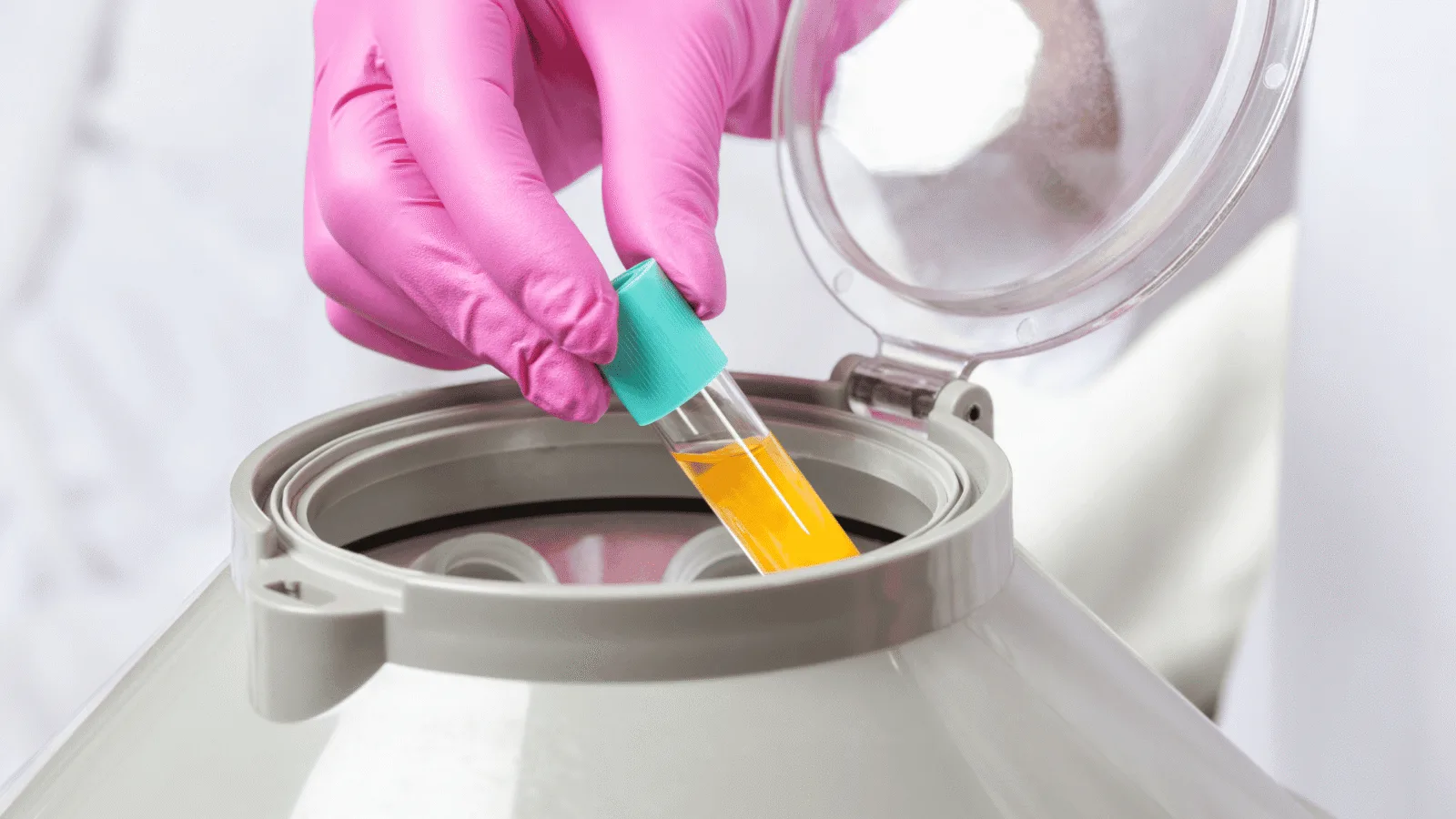 regenerative medicine