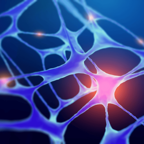 How Nerve Blocks Work to Stop Chronic Pain Signals